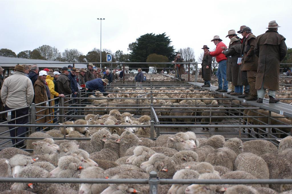 Hamilton Caravan Park Luaran gambar